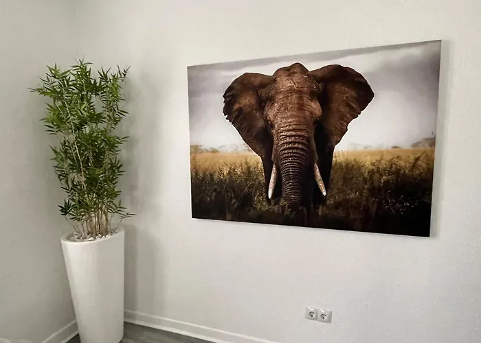 Kai - Junto A La Ria Daire